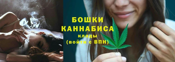 прущие грибы Орехово-Зуево