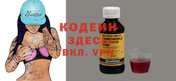 прущие грибы Кукмор