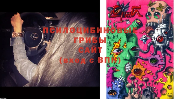 прущие грибы Кукмор