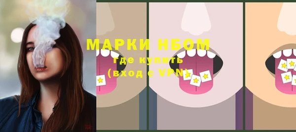 прущие грибы Кукмор
