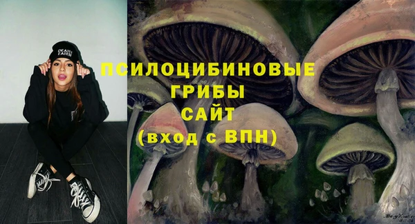 альфа пвп Куйбышев