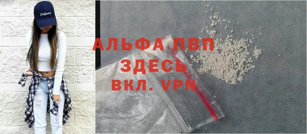 прущие грибы Кукмор