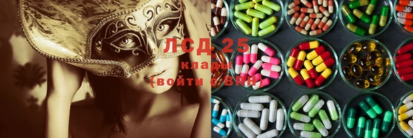 прущие грибы Кукмор