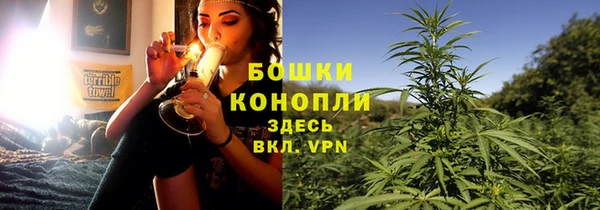 прущие грибы Кукмор