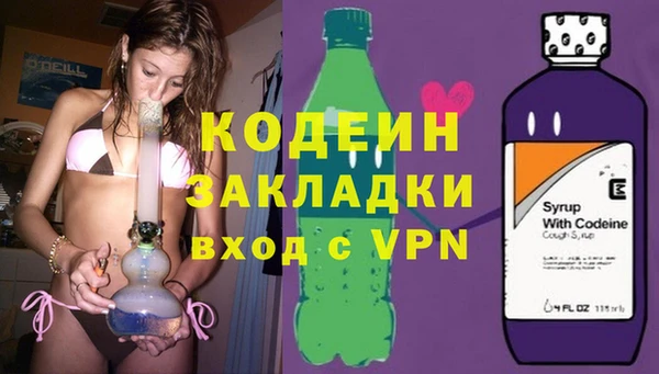 прущие грибы Кукмор