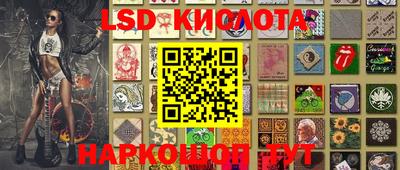 гидропоника Можга