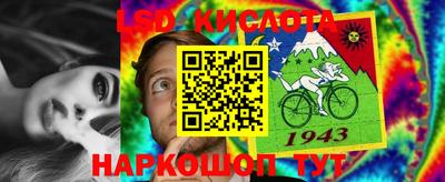стаф Моздок