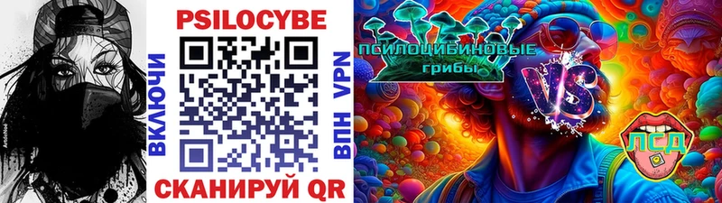 купить   Свободный  Псилоцибиновые грибы Psilocybine cubensis 