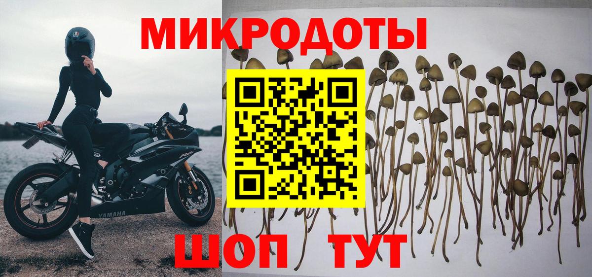 Псилоцибиновые грибы мицелий  Вход с VPN  Свободный 