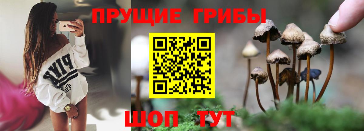 Псилоцибиновые грибы MAGIC MUSHROOMS Свободный